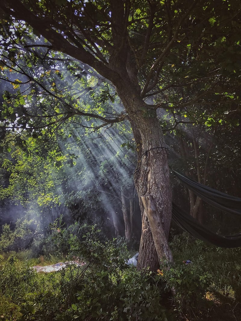 Fairytale Creations